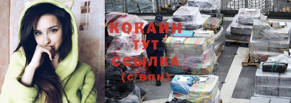 ГАЛЛЮЦИНОГЕННЫЕ ГРИБЫ Абаза